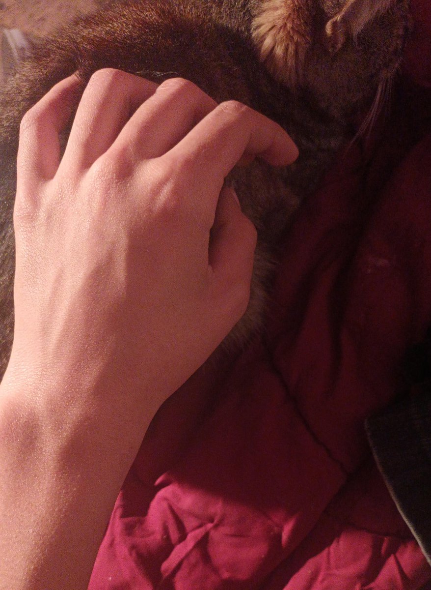 refizurado's tweet photo. kitttyyyyy ^w^ https://t.co/b2sopvEsLp