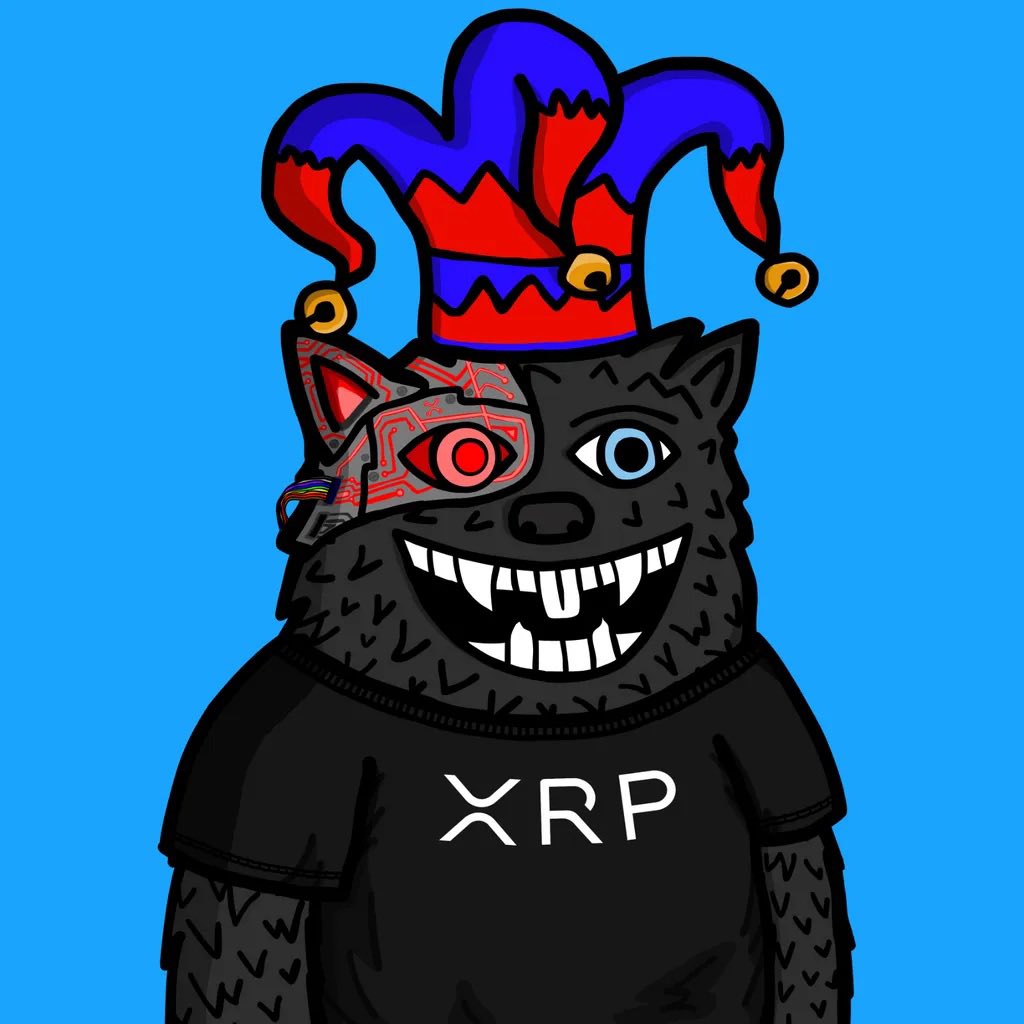 theophane's tweet photo. As XRP and Fuzzy grow,

New faces will appear and new accounts will be larping about always believing in fuzzy.

We all know who was here from the beginning and holding during the lows. https://t.co/cK3JXCzi9y