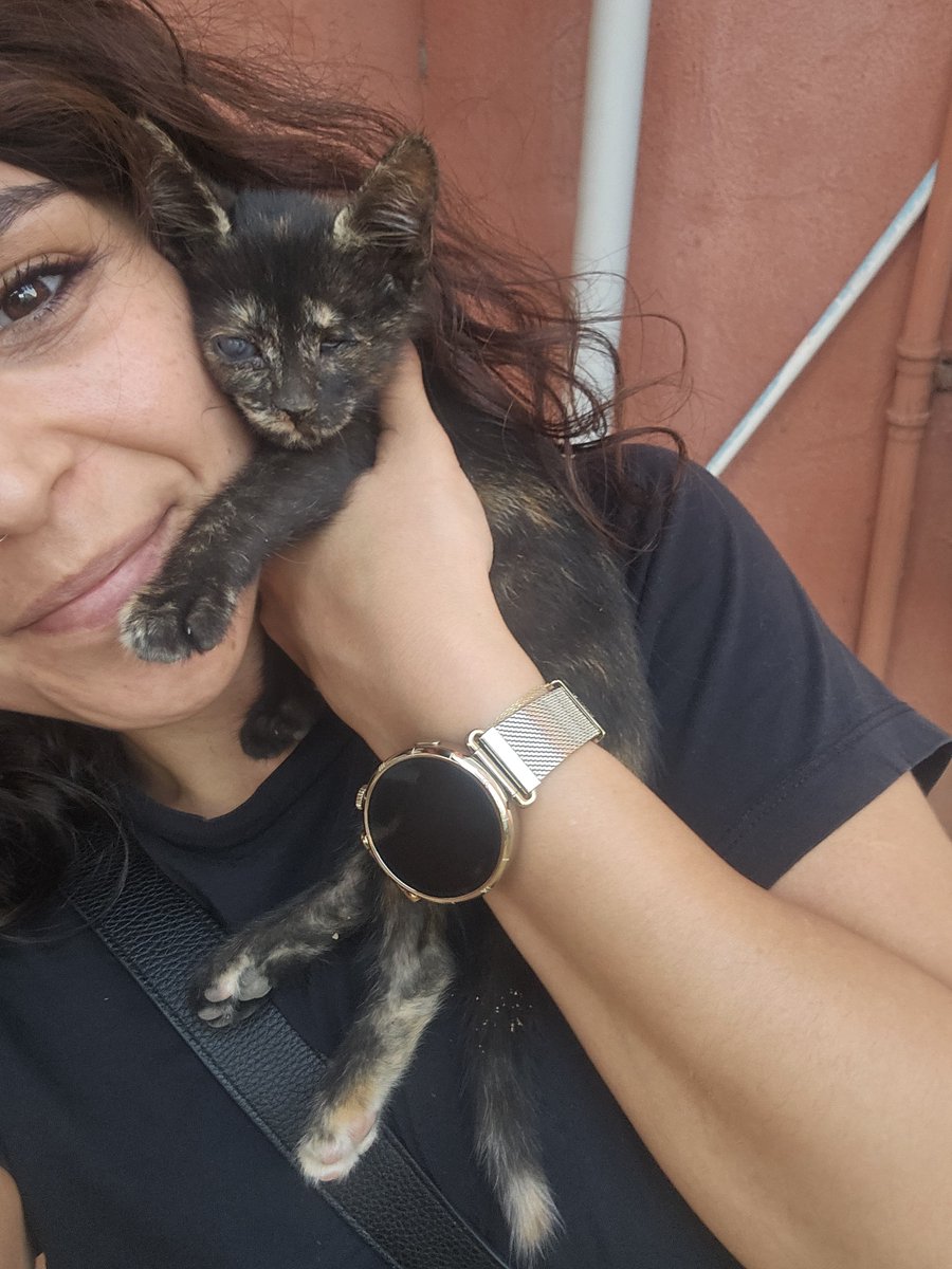 yaasemintheone's tweet photo. 1.5 aylık küçücük kör bir kız 🥹 henüz yalnızca 680 gram ❤️‍🩹 Onu acayip çok sevecek ve gözleri olacak bir yuva arıyorum. Adını leyla koyduk, iç dış parazit yaptırdık korumaya aldık. Yayabilir misiniz? Istanbul pendik ulaşım desteği sağlarım 0553 634 05 04 https://t.co/IZYGHPsZ0u