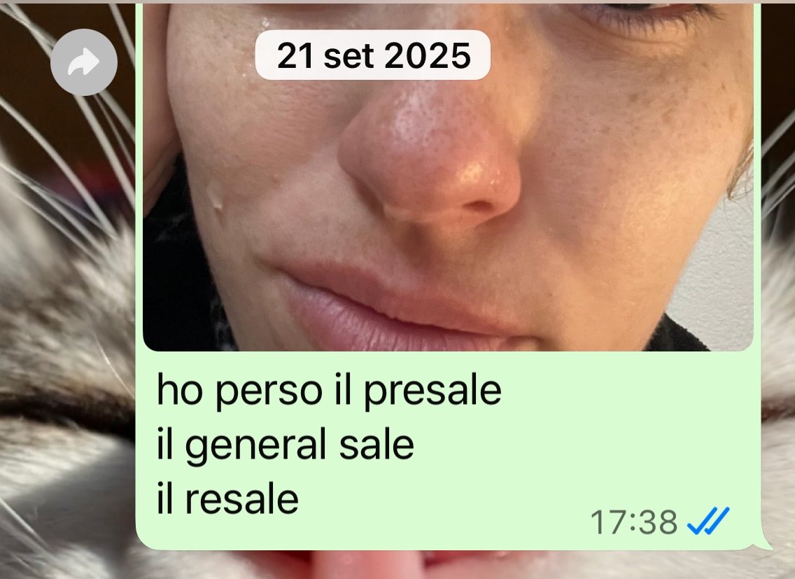 Lanasmiciogatto's tweet photo. il mio più grande 
how it started vs how it went https://t.co/eRqXUNEHKp