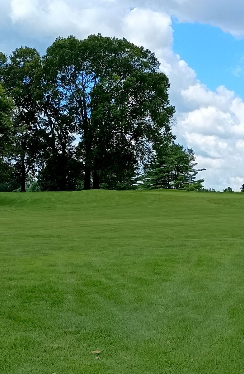 JohnnyForeRight's tweet photo. @pxg @Titleist @BombTechGolf @HannaGolfCo @35x70GolfCo Results of #7ClubChallenge #SevenClubChallenge at Winding River GC 50/55. Similar result with 14. Less thinking about what club to use. More creative. Left many strokes on couse not clubs, user error. Used 2i a lot my fav club. #52 Mike Webster @Steelers 🏈⛳ #GolfChat https://t.co/hG3kMNLuBR