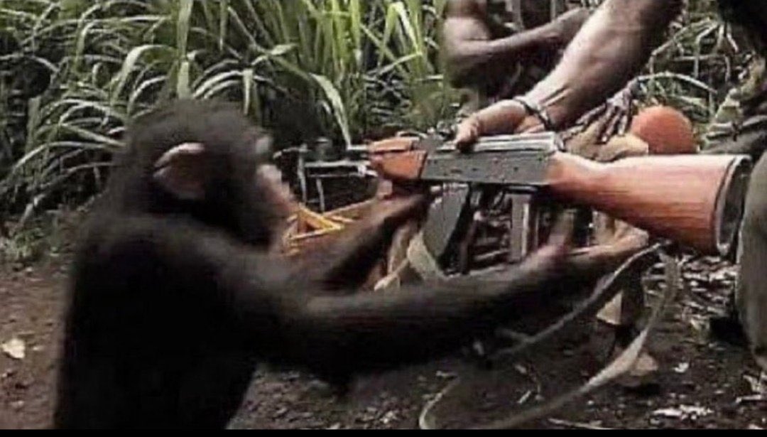 MasianBack's tweet photo. Le Barça qui offre à Pedri et Rodri les fusées de chasse les plus rapides du monde https://t.co/eHQCFNqkKb