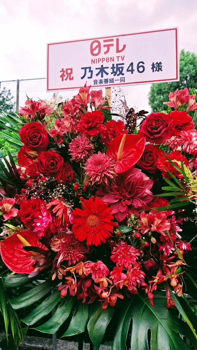 mitakuto's tweet photo. #乃木坂全国ツアー神宮Day4 行ってきました！
新キャプテン・菅原咲月さん、今年の座長・一ノ瀬美空さんを中心に、また新しい神宮を���せてもらった気がします。６期生のパフォーマンスもさらにレベルアップして魅了されました。今年の夏も最高！
#乃木坂スター誕生 #nhkらじらー https://t.co/s5NyEXjUgo