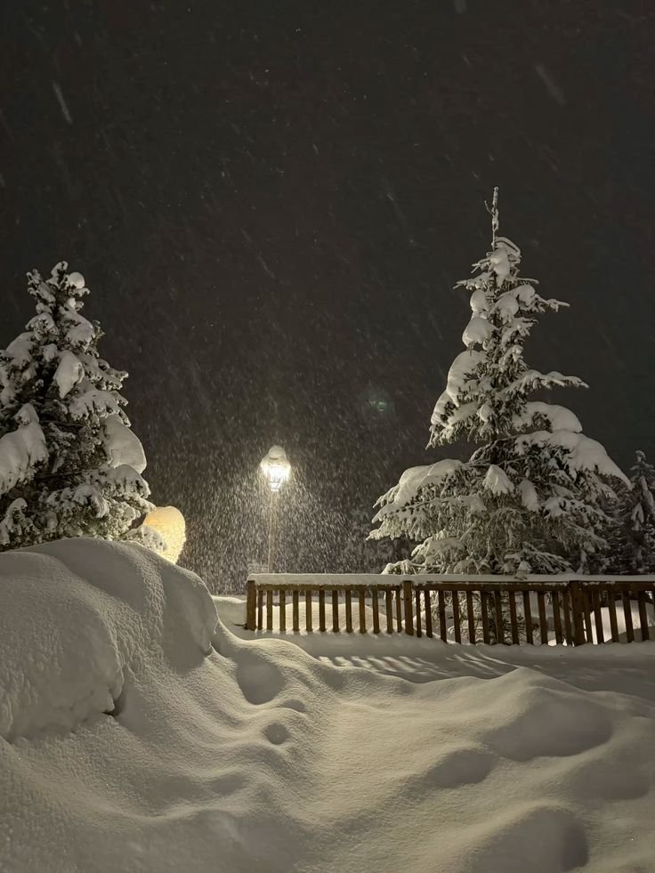elemmiressoul's tweet photo. snowy. https://t.co/0vQl5od058
