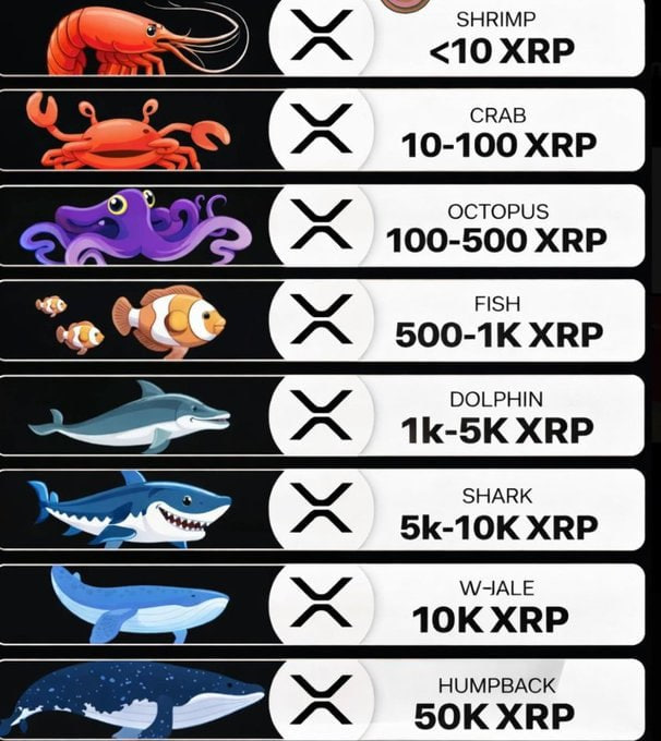 Rose_xao's tweet photo. Well… apparently we all have an XRP rank now. 🐳👀 https://t.co/KwJjKOLuNI