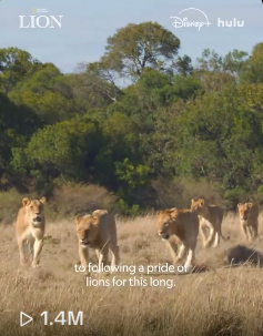 straynsol's tweet photo. Over 15 million views on TikTok in the past 3 days (@NatGeo on  TikTok) https://t.co/CIk62TTEp8