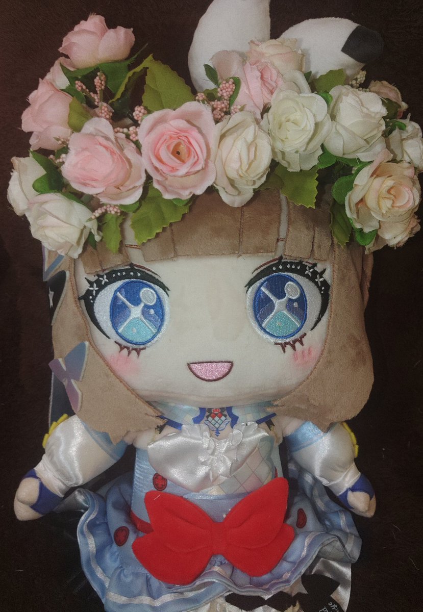 shishiumachu's tweet photo. あなたにティアラを https://t.co/57UaDkb4Em