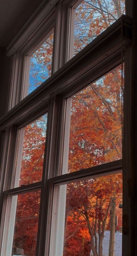 0616emperor's tweet photo. Autumn carries more gold in its pocket than all the other seasons. https://t.co/nGMsjitJ3X