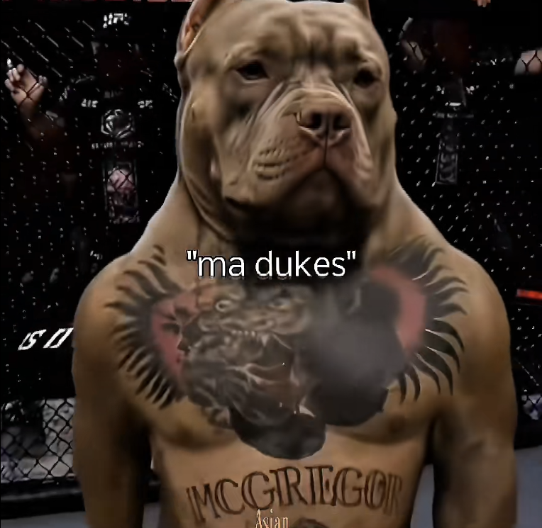 PetaIS0L's tweet photo. This is the closest thing to the next TripleT I've ever seen, genuinely insane

MaDukes is an AI brainrot dog going INSANELY viral, literally every vid blowing up in the last 5 days

This video has 1 MILLION views in less than a day - https://t.co/BBtc5ld9gu

**CHECK HASHTAG THIS IS GIGA** https://t.co/dVqM7kf8yo