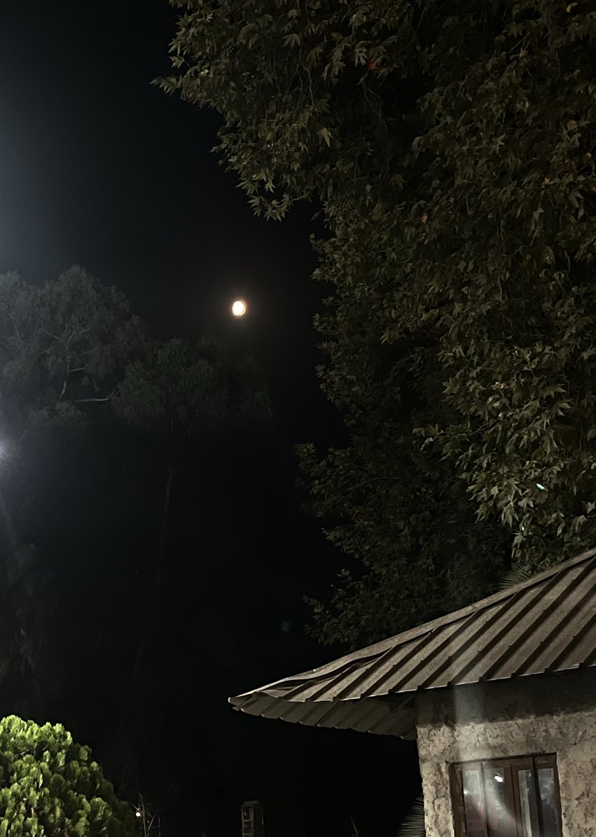 liamoonii's tweet photo. همینجوری اومدم یوری نشستم تو ماشین زل زدم به ایشون و نمیدونم منتظرم از اون بالا چی بخوره تو سرم بلکه مغزم از قفل در بیاد🚶🏻‍♂️ https://t.co/YhDokggd1J