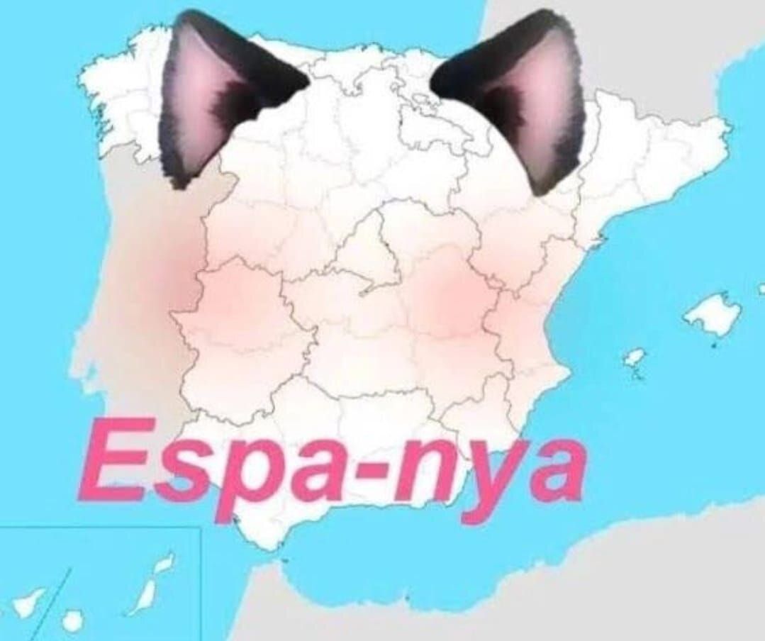 wikipistacho's tweet photo. https://t.co/MfyUn8mkKq