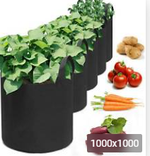 DotCosmo's tweet photo. @celani_joshua @AzPetrich I have three grow bags like this. Pretty easy. https://t.co/o4Y4uMlHhx