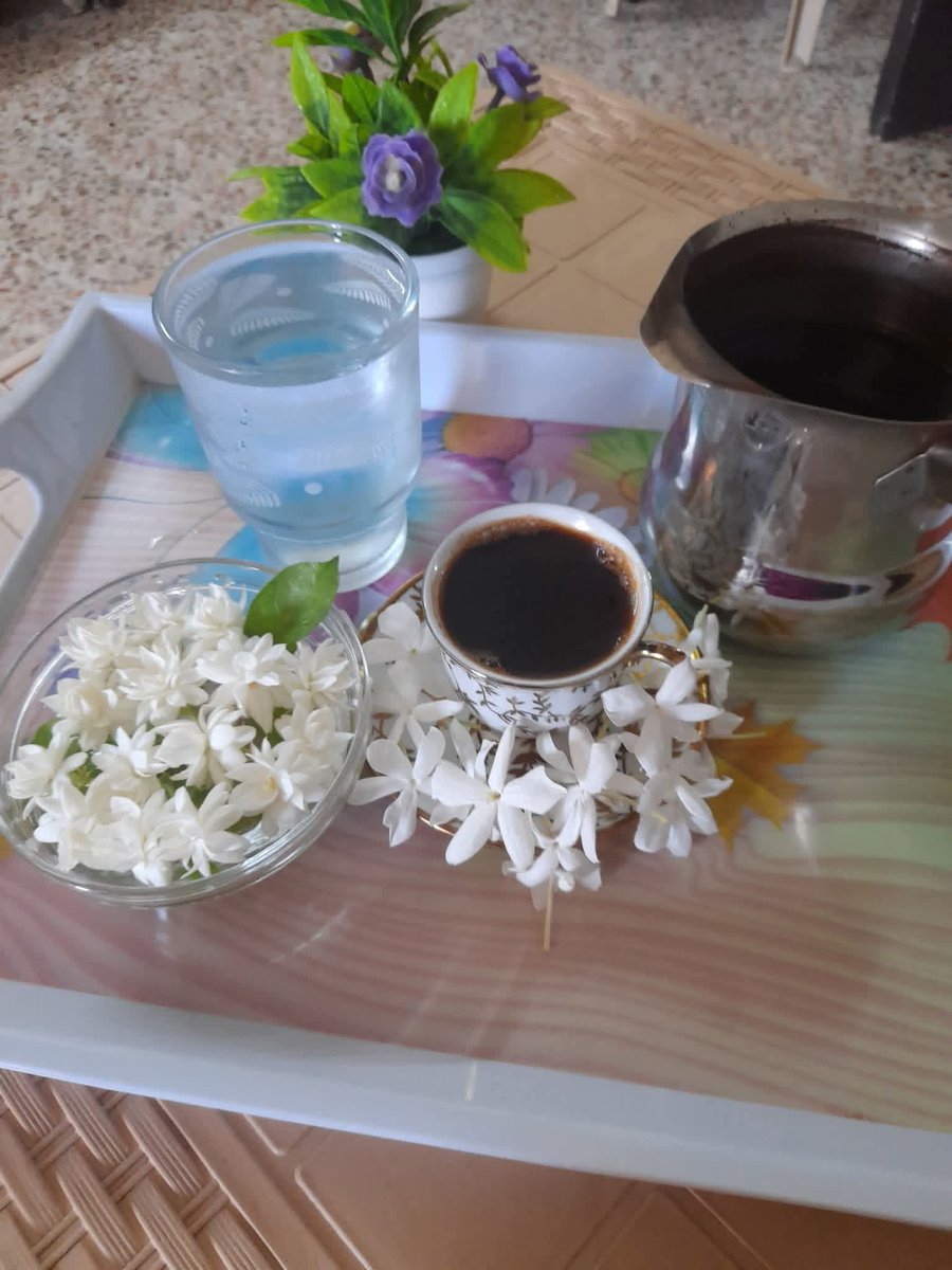 na7215424's tweet photo. كل شيء يبدو أجمل بحضور #الياسمين
.
📷🌸 https://t.co/CY7Ep3I9Ru
