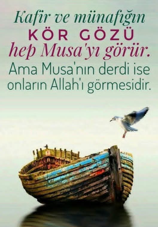 YIrsadi's tweet photo. https://t.co/x4rsGE0puA