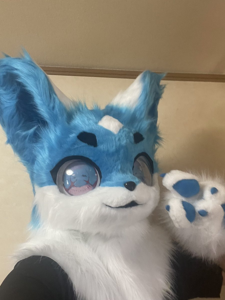 Raio_furry0807's tweet photo. 名　前 :雷鳳
性　別：男
誕生日：6/21
所在地：愛知県
身　長：171cm
体　重：75kg
利き手：右
趣　味：ゲーム、カラオケ、ボウリング、料理etc.....
特    徴：額の菱形マーク、青と白のツートーンカラー
一　言：新米ですがよろしくお願い致します https://t.co/xkBwnBrkgx