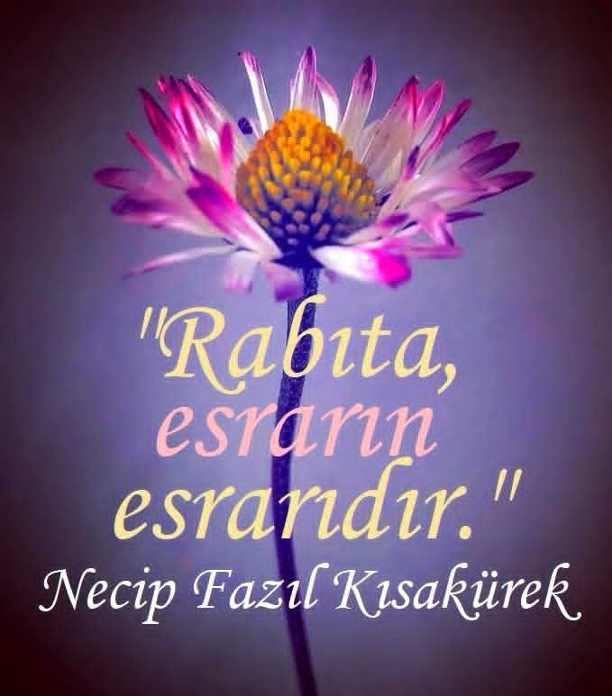 YIrsadi's tweet photo. https://t.co/e6fUdPzKYO