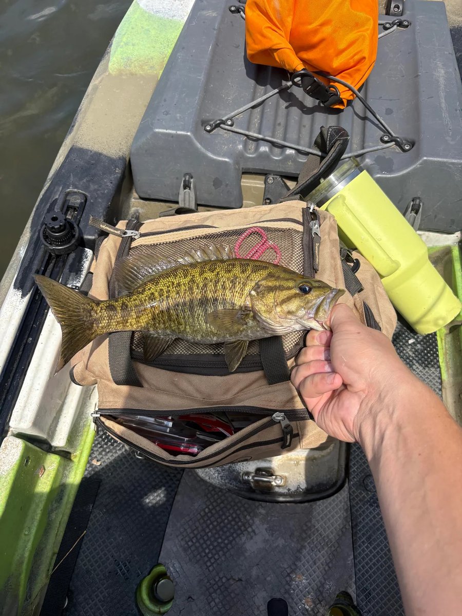 chscvv's tweet photo. The best stories begin with a fishing rod. #Fishing https://t.co/jQIs7PckNe