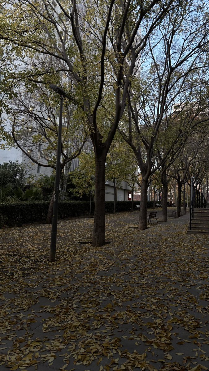23rurx's tweet photo. Autumn last year https://t.co/0n6nO2ZsGr