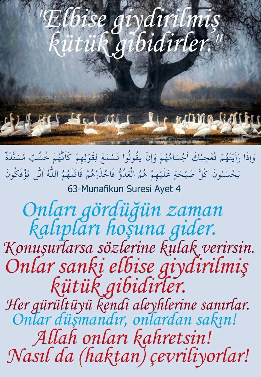 YIrsadi's tweet photo. https://t.co/HcF4zxACIT