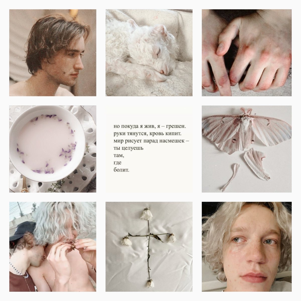 MariaBullfinch's tweet photo. #паракореши https://t.co/fNmW80NyVo