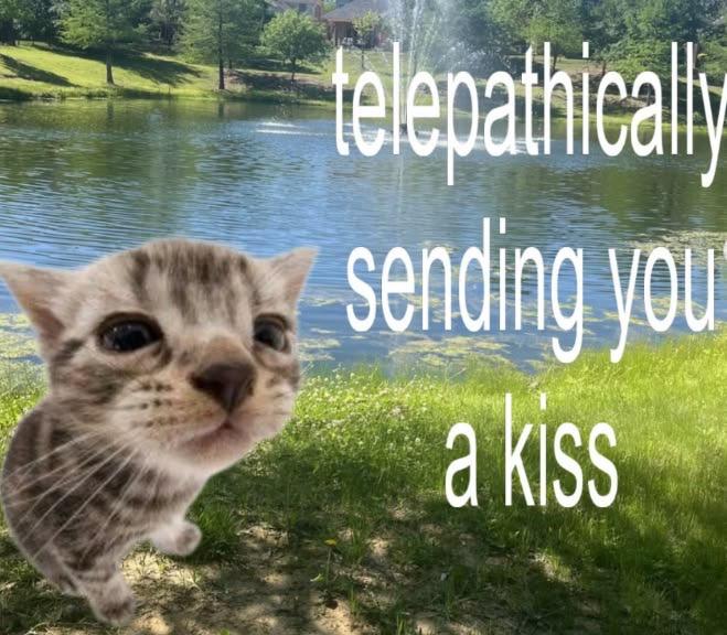 cutedreamvibes's tweet photo. https://t.co/SKNxCTQIVE