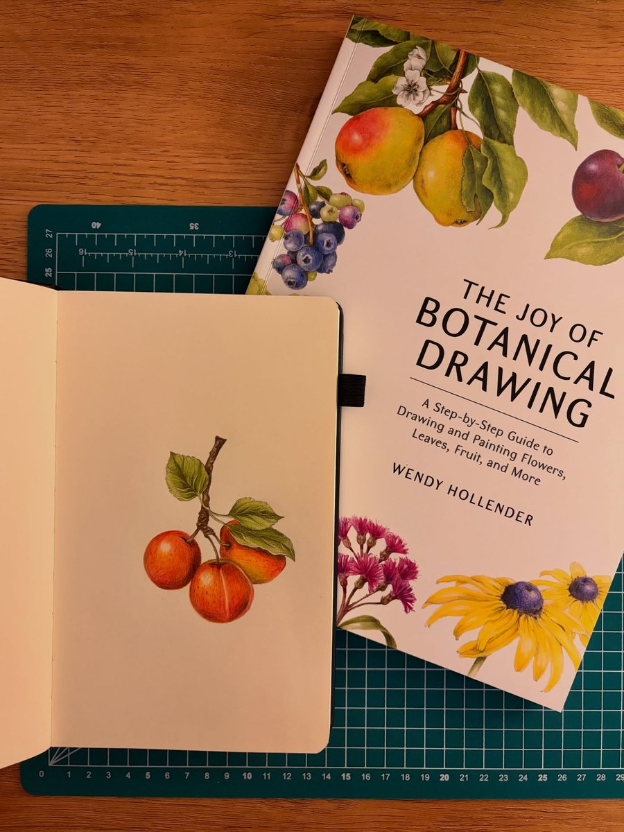 OlgaPv_'s tweet photo. Yeni sketchbook’umun ilk sayfasından: “Herbarium Dreams” adlı eserim. Art, sketchbook, sketch, fruit sketch https://t.co/KyaKbzJE2C