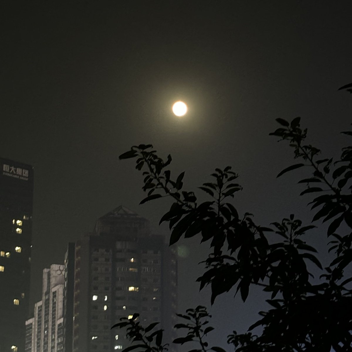 m1nseo_o's tweet photo. 刚收完被套，指尖还沾着点洗衣液的淡香，阳光落在叠得整整齐齐的被角上，今天的家务小确幸是暖乎乎的柔软呀～， https://t.co/P4m3BVtdiH