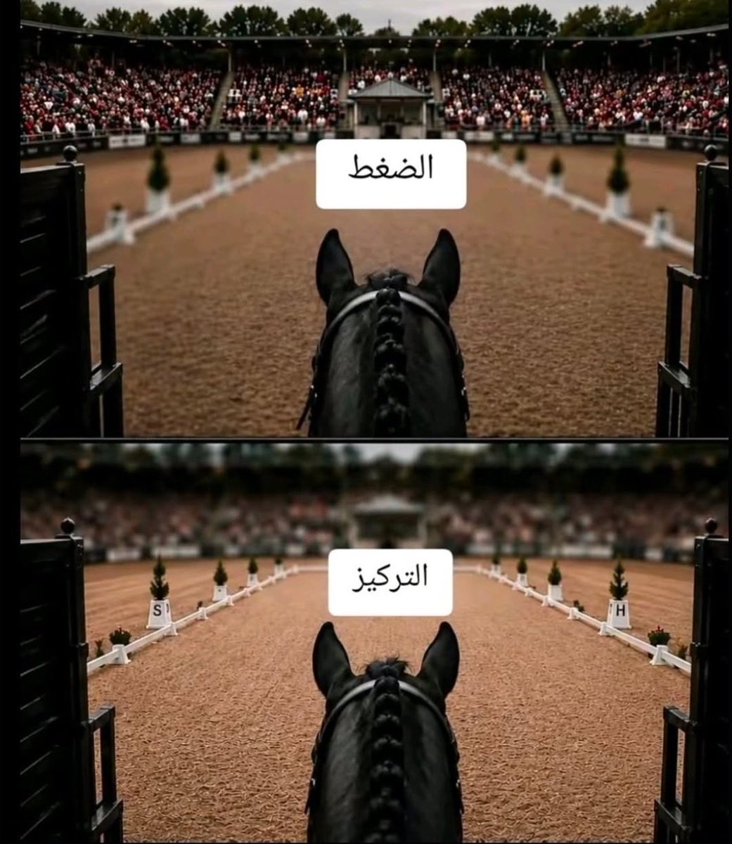 at_al2my's tweet photo. كل شيء يعتمد على نقطة التركيز . https://t.co/9LmekTHOEv