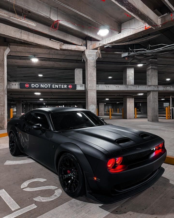 Auto_Porn's tweet photo. N I G H T C A T https://t.co/OeAugcPrFy