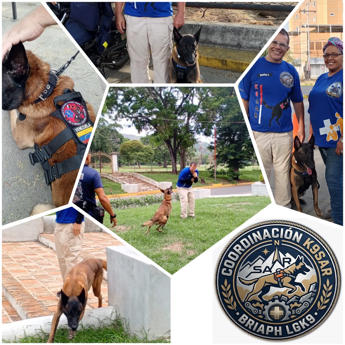 BRIAPH's tweet photo. Coordinación K9SAR BRIAPH - LGK9, Maracay Estado Aragua Venezuela. https://t.co/Q5lWGTtO1j