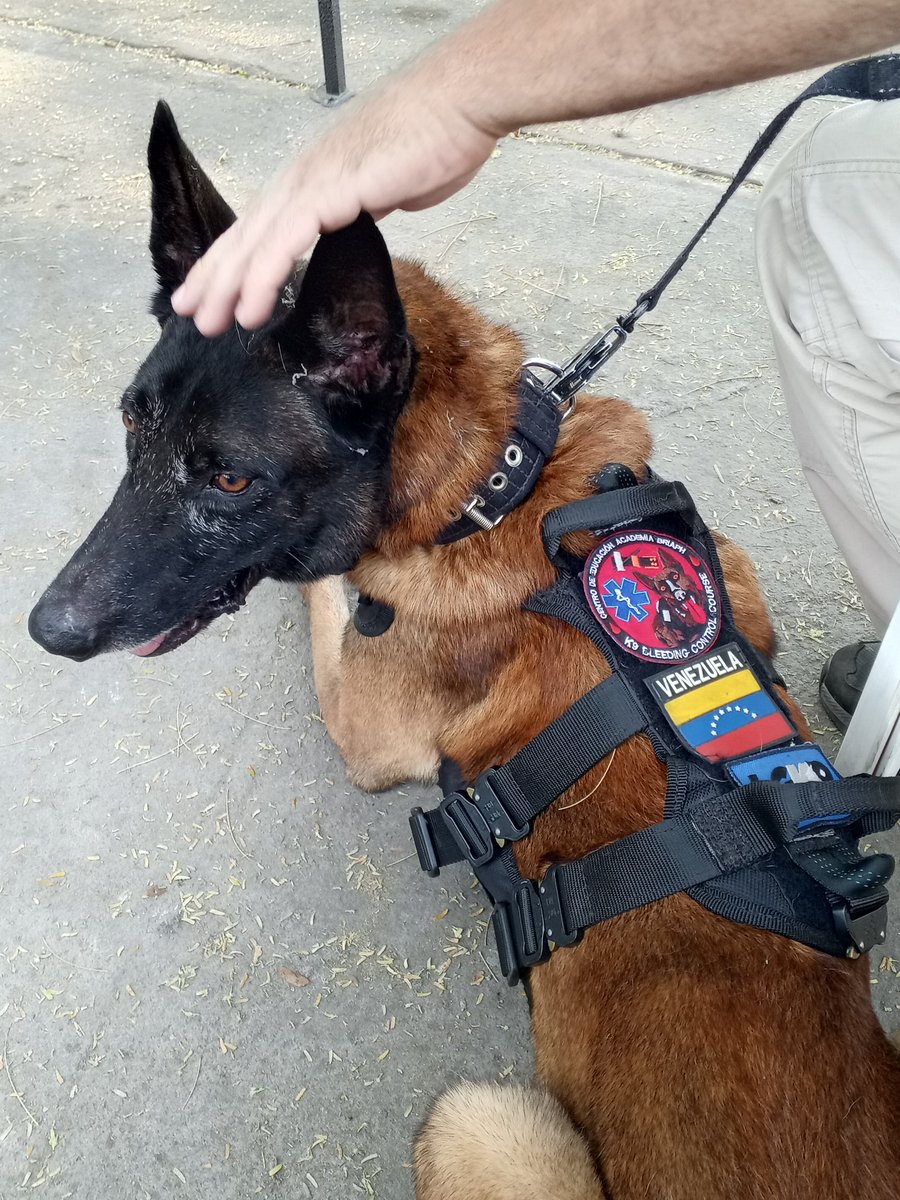 BRIAPH's tweet photo. Coordinación K9SAR BRIAPH - LGK9, Maracay Estado Aragua Venezuela. https://t.co/Q5lWGTtO1j