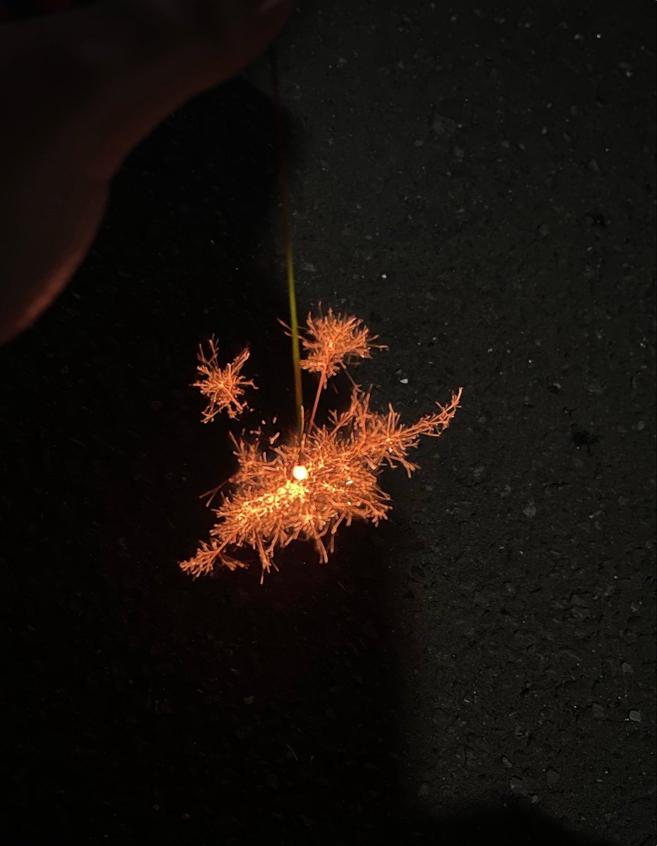 nonoha_Va's tweet photo. 数年ぶりの線香花火でした🎇 https://t.co/sNy1VczFm8