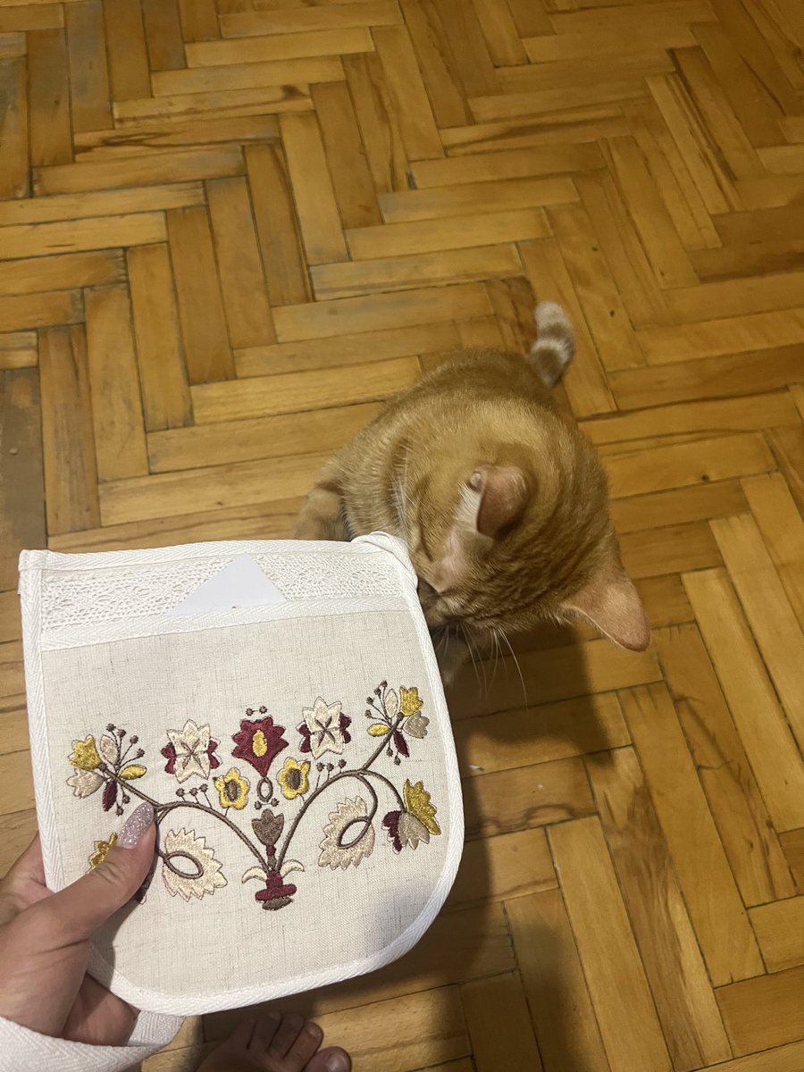 nastyamuliar's tweet photo. @tysha_stepu @NikaMastierova За цією прекрасною кишенькою підходила) https://t.co/a6P9XfHIBW