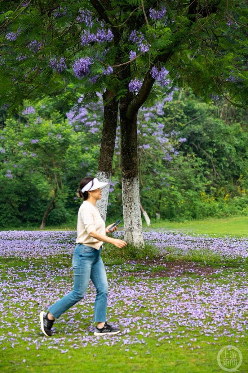 Tritaaar's tweet photo. Sunny spring afternoon vibes – coffee in hand, birds chirping, perfect for a walk outside! https://t.co/2ytgrsO1qp
