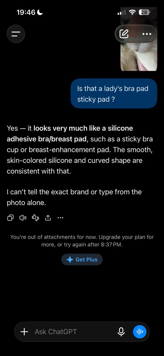Bellow113930's tweet photo. @nicksboredd @0gdev17 Clearly you’re a virgin 😂😂😂 https://t.co/yz27E4mq5l