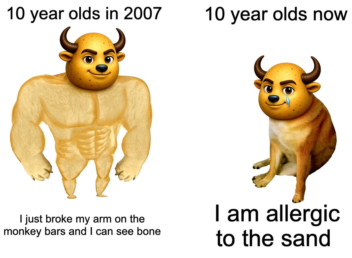 potatobullsol's tweet photo. 10 year olds in 2007 had the Potato Bull gene.
10 year olds now… https://t.co/bsgbVHsZDD