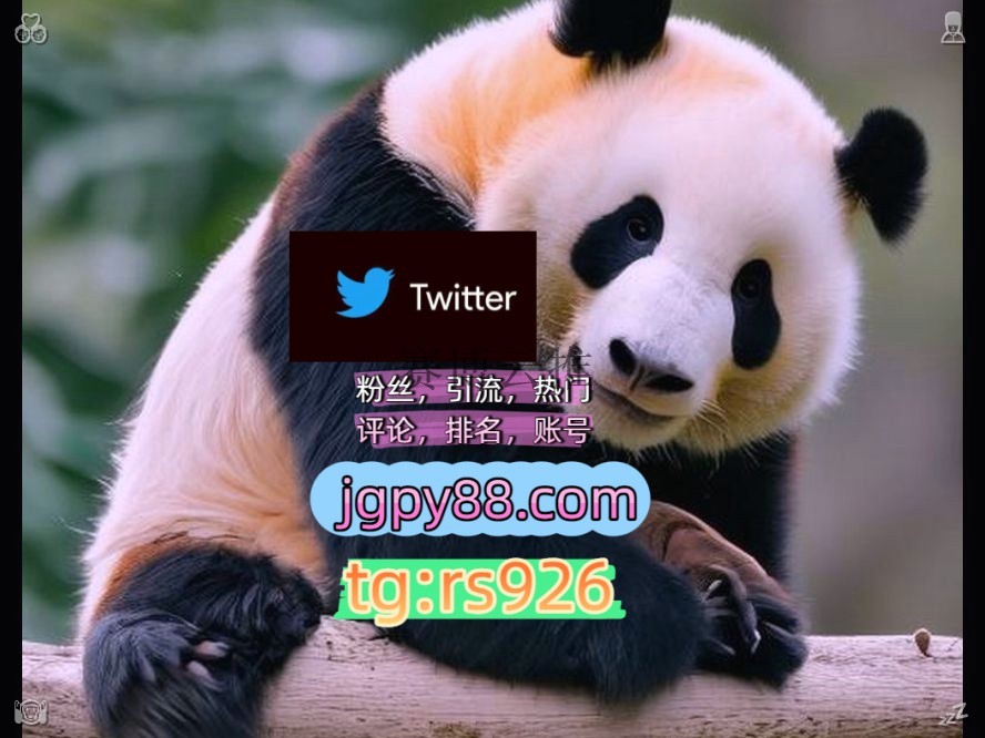 GrowpactKi91164's tweet photo. Make every day meaningful and bright.
排名号推特矩阵管理、营销自动化、内容运营外🦲facebook点赞号
粉丝号推特账号热门号金华
世界杯推特矩阵管理、营销自动化、内容运营围753815注册号
上热门南京代发台州   🤖客.服看→资.料
推特矩阵系统、Twitter矩阵系统、X矩阵系统instagram🐛 https://t.co/O7Cw9HkOHn