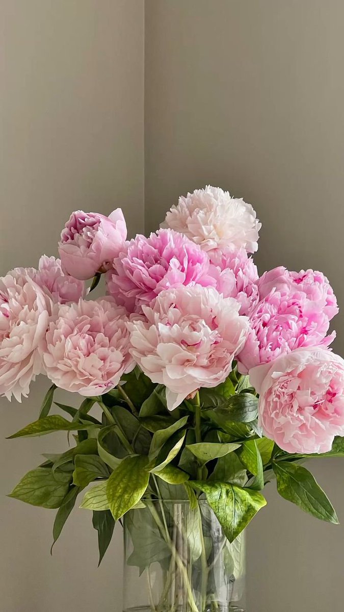 Flowersidmb's tweet photo. https://t.co/1mN8wqhvhb