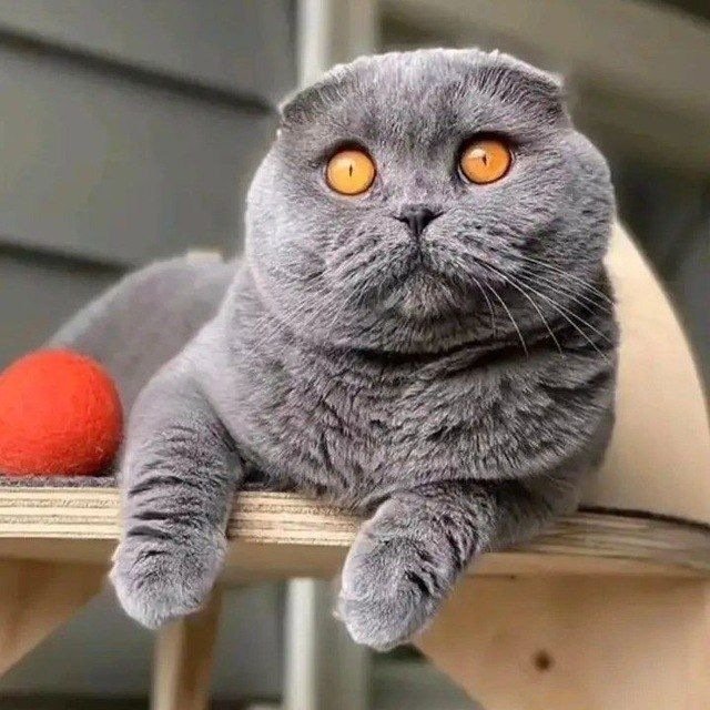 ktota112's tweet photo. @spiderrrisha Потому что оно раньше было таким https://t.co/cAimElxuYd