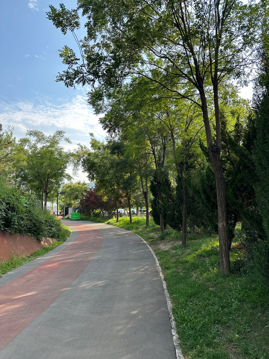 Gunawan75546645's tweet photo. Just finished a quick morning jog along the river—fresh air and sunrise hits different! ♂, https://t.co/h17WgBhzif