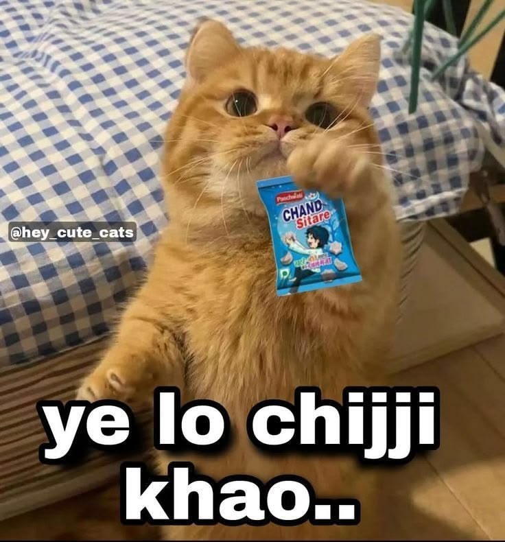 Beyondbelie_f's tweet photo. @prettyshutup Cutie suchi https://t.co/4w5V3jISHA