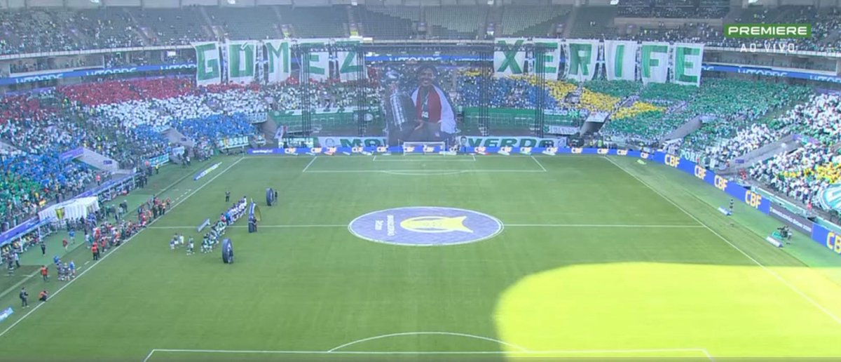 unloveliest's tweet photo. YO PIKO LLORO 😭😭😭 Y CON LOS COLORES DE PARAGUAY 😭 TE AMAN GUSTAVO GÓMEZ 💚🤍 https://t.co/tbFlYIatWC