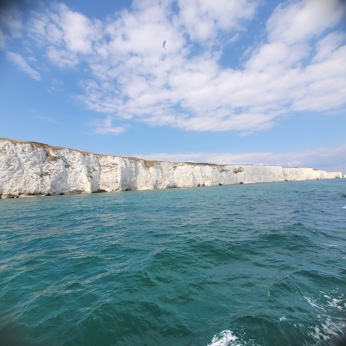 LisaDymott2021's tweet photo. Just my dog enjoying a boat trip along the Jurassic coast. Fab 2 hours in the sunshine. https://t.co/XhfeFziwXC