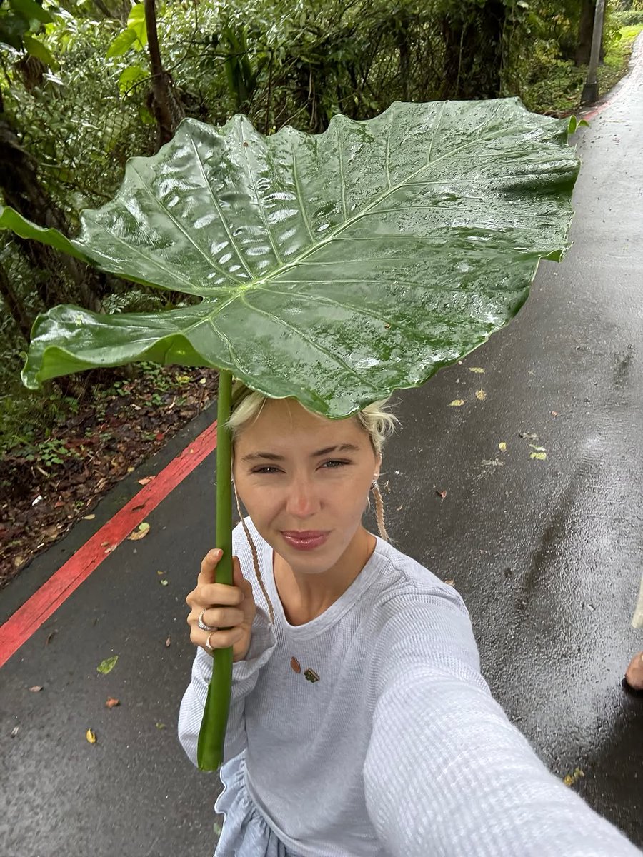 lirisaw175's tweet photo. ran laps around the sun last year 🍀🌱⋆˚࿔ https://t.co/TjV0CVWTO8