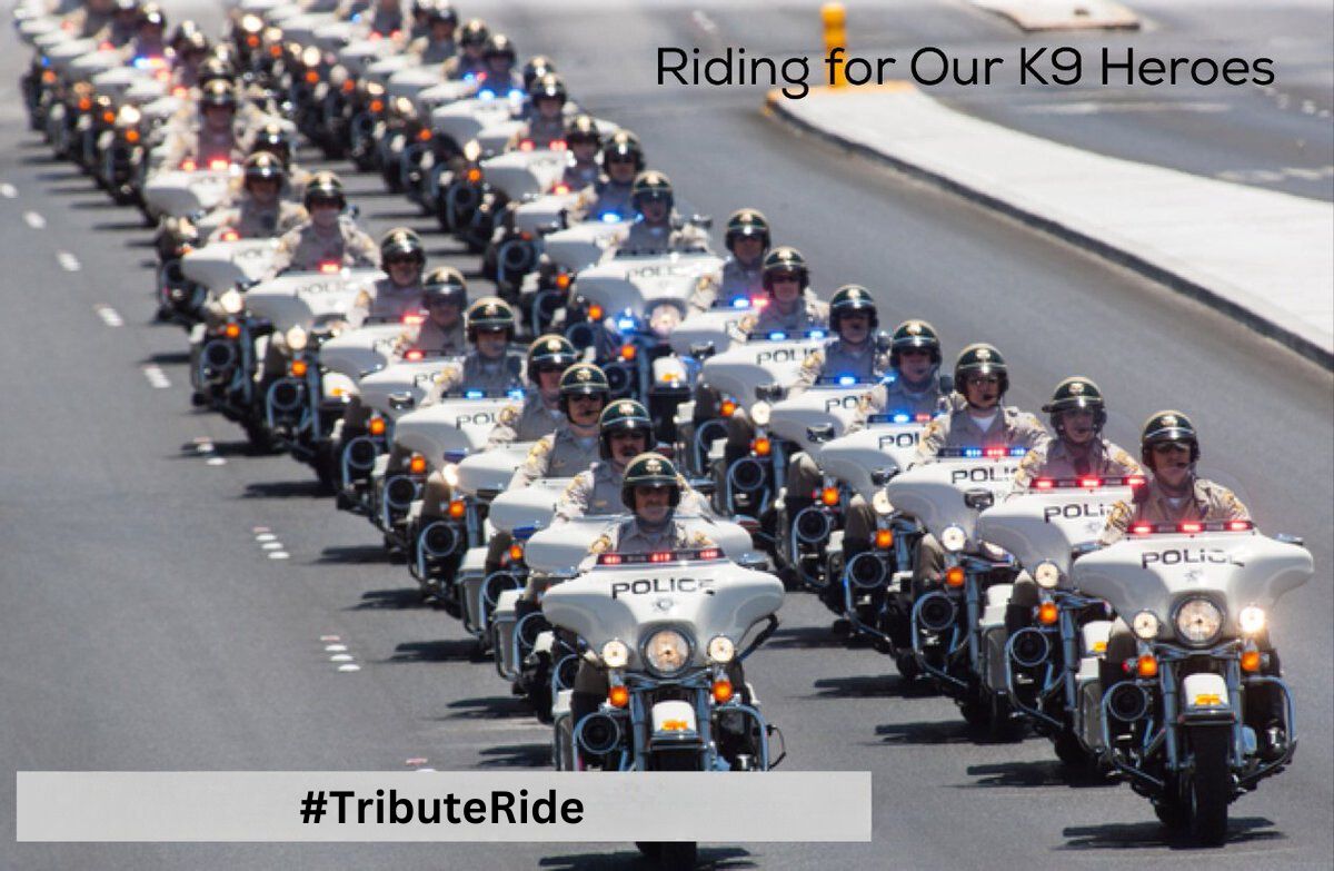 SassytheMinPin's tweet photo. Our pals in the Police Department are here with us to honor our K9 Heroes. Let's cheer them on! #TributeRide #BBOT #PA #ZSHQ #TheAviators #TheRuffRiderz #Hedgewatch #CloudRiderz https://t.co/0tQbZGTLVY