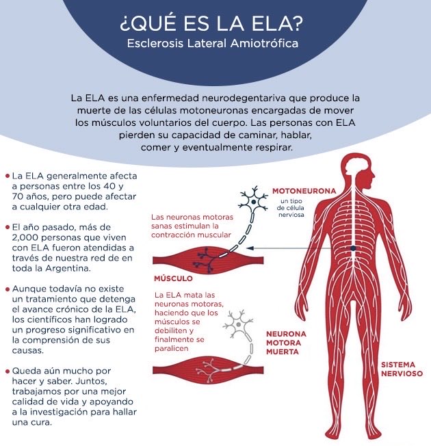 JLoMoTra's tweet photo. (ASX:NUZ)Neurizon Therapeutics está avanzando con NUZ-001 en el ensayo clínico de fase 2/3 HEALEY ALS Platform Trial en EEUU, dirigido a la esclerosis lateral amiotrófica. 250 participantes en 78 centros. Se esperan resultados preliminares a finales del segundo trimestre de 2027. https://t.co/ARaiGkhg46