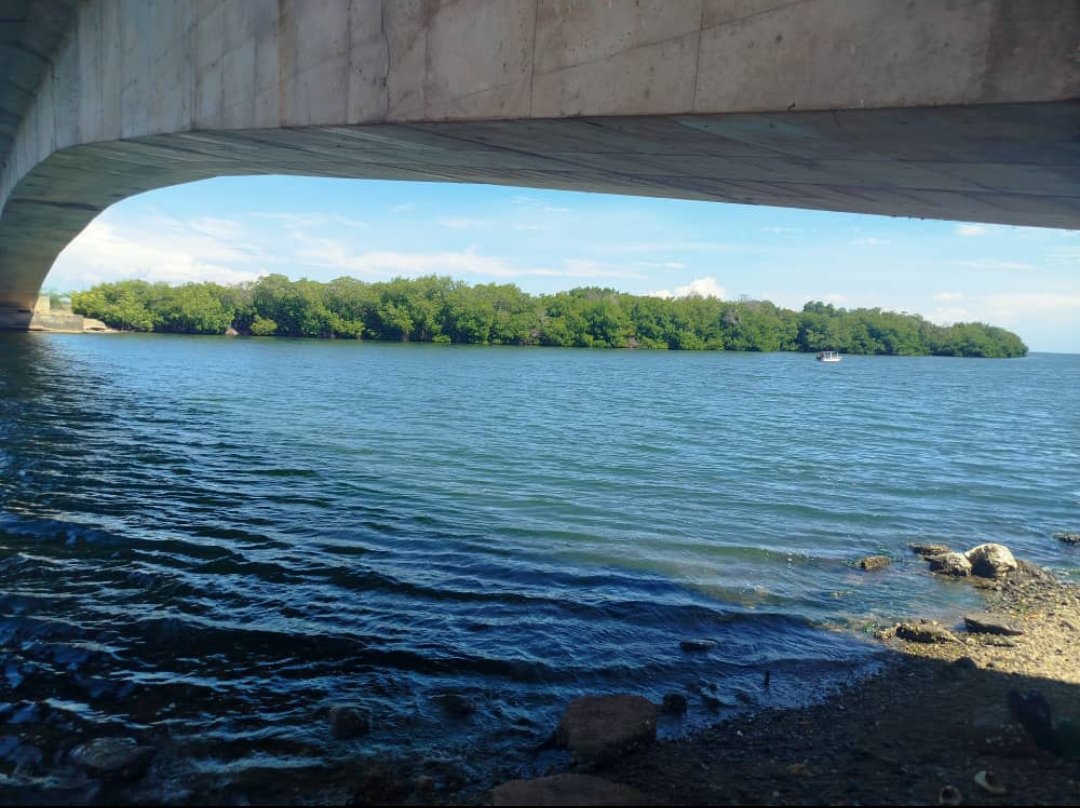 Petris18's tweet photo. #margarita #puentelarestinga #lagunalarestinga https://t.co/z4dNeJlVGs