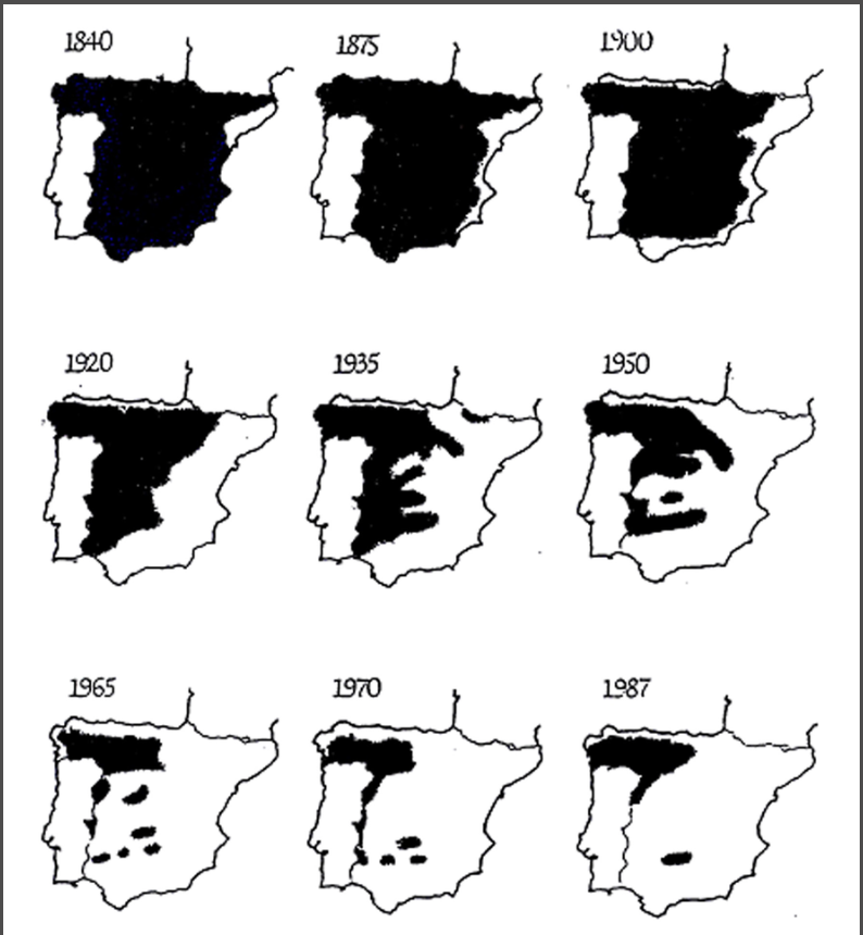 TafallaMarta's tweet photo. El exterminio del lobo

Explicado en la web de @ascel_lobo 
https://t.co/gaDu3bu4xW https://t.co/KgFc0TikPG