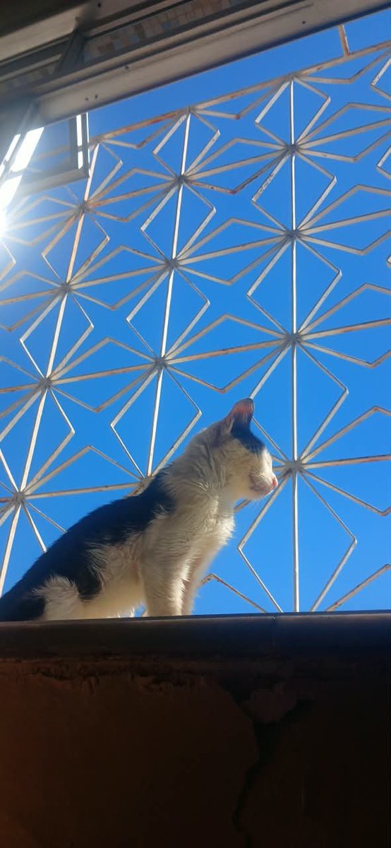v1tud0__'s tweet photo. Sempre te amarei, meu filho. <3
Espero que você seja bem recebido em um lugar melhor.
(⭐️- ✝️23/08/2026) https://t.co/9I2Ryz3WMO