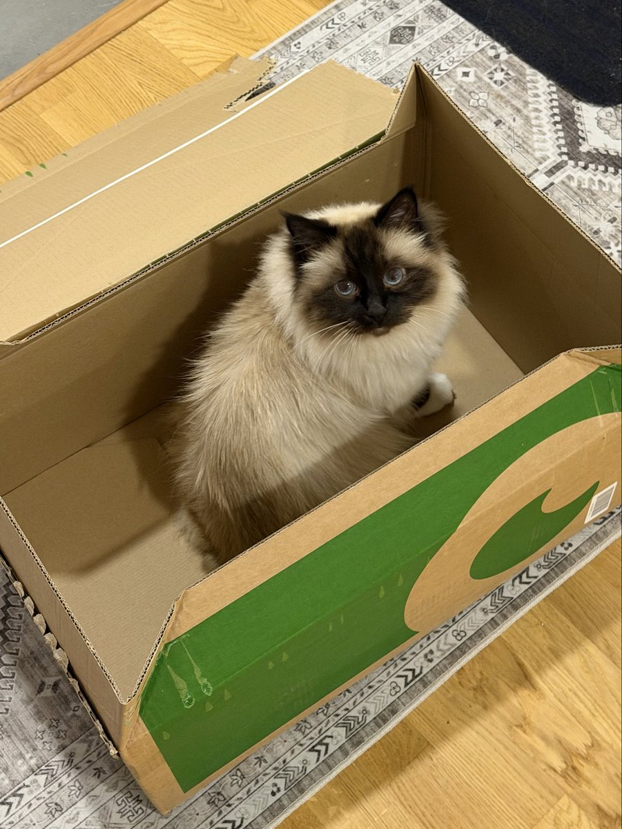 MipeFIN's tweet photo. @taija_myyra Meillekkin saapui vastikään Iivari toisesta verkkokaupasta ☺️ https://t.co/lieJCAER29